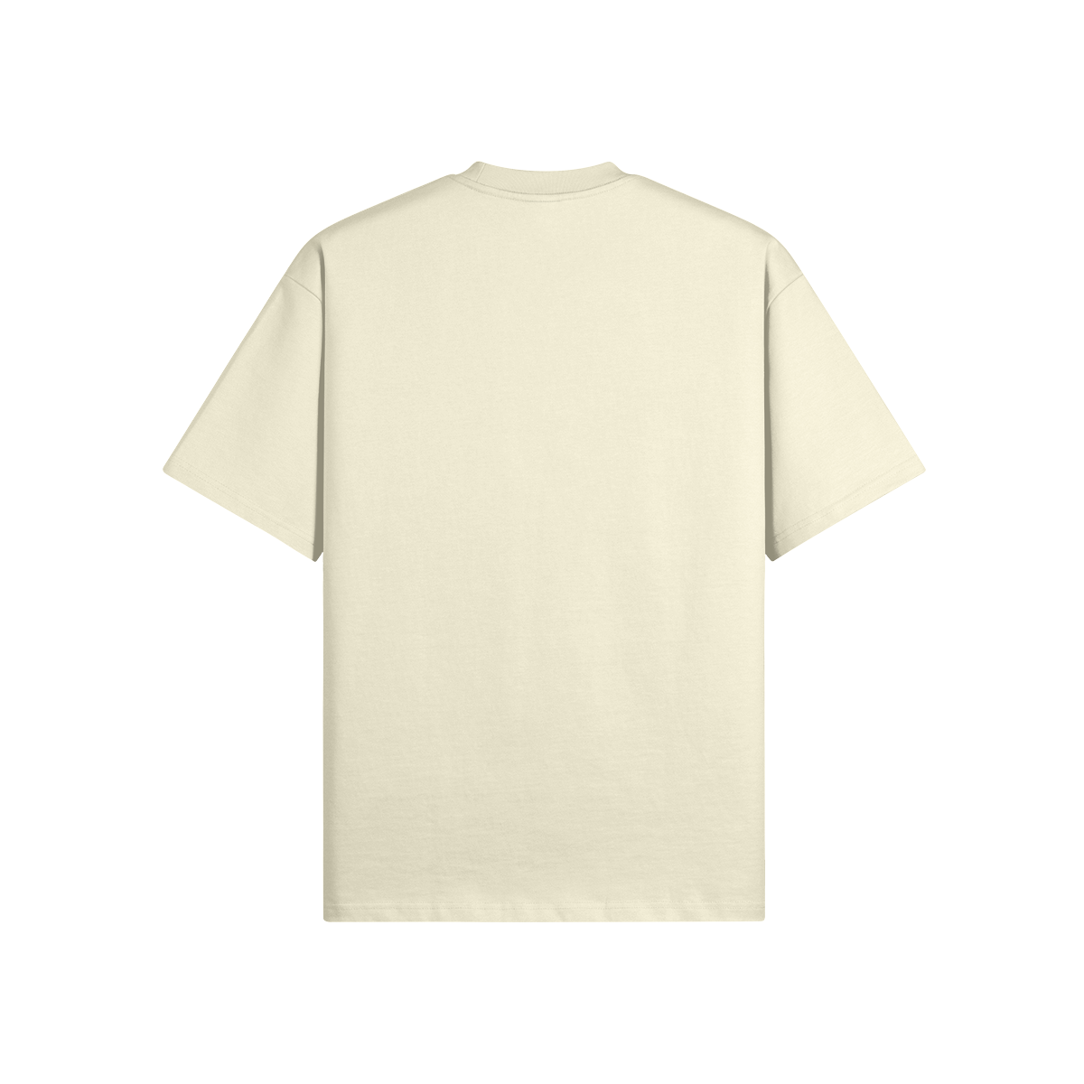 0-YCK-Back Side